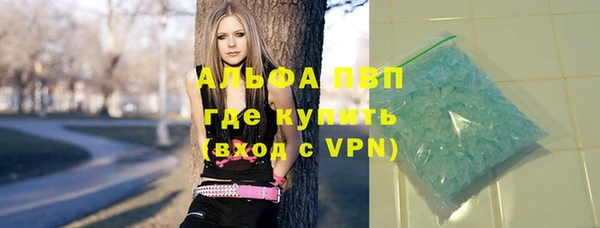 PSILOCYBIN Беломорск