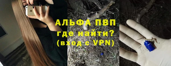 PSILOCYBIN Беломорск