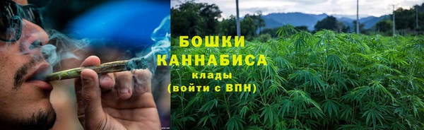 PSILOCYBIN Беломорск