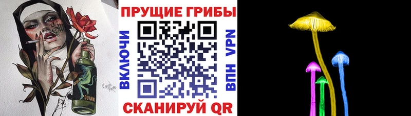 Псилоцибиновые грибы Cubensis  даркнет сайт  Красноярск 