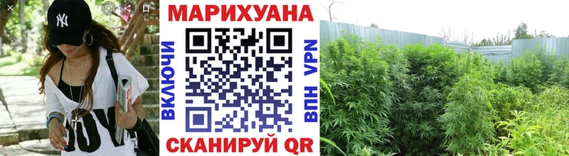 купить закладку  Красноярск  Конопля White Widow 